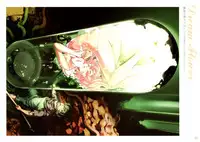 [Nishieda] Dendrobium