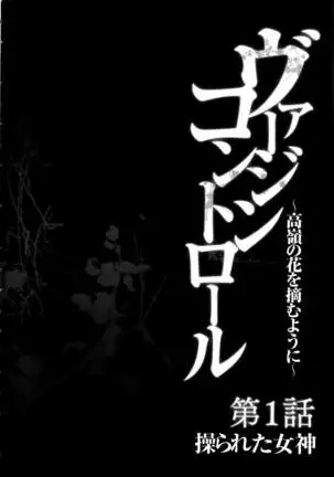 Virgin Control ~Takane no Hana o Tsumu you ni~
