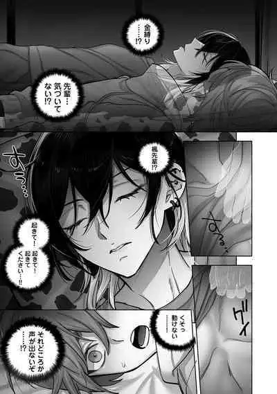 Danshoku rei no sumu apauto 2