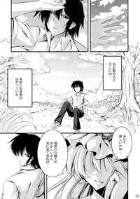 (C80) [Desuno!! (Fuyuwa Kotatsu)] Welcome to Wonder World (Touhou Project)