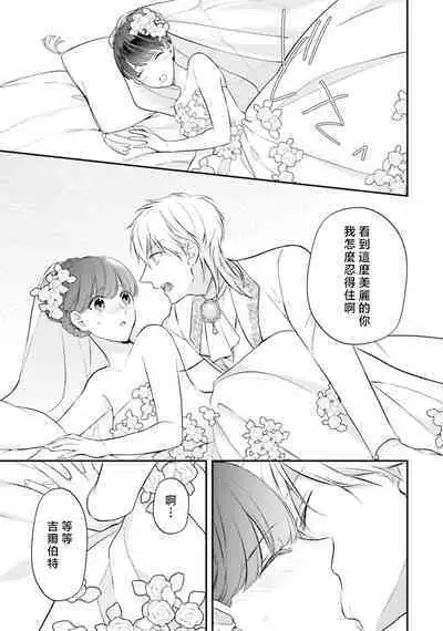 isekai de migawarihime ninari haou ni ubawaremashita | 在异世界成为了替身公主被霸王掳走了 1-12 end