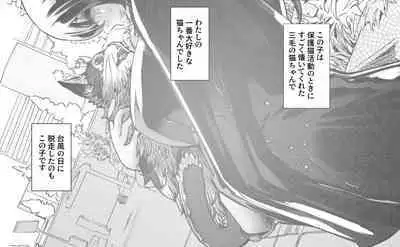 Boku no Kanojo ga Taninbou de Zecchou Itasu