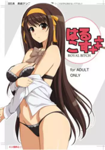 [Royal Bitch (haruhisky)] HARUCOS+++ (Suzumiya Haruhi no Yuuutsu) [Digital]