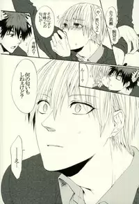 (HaruCC21) [Cutie★Complex (Hatsuka)] Neko no Kimochi 3 (Kuroko no Basuke)