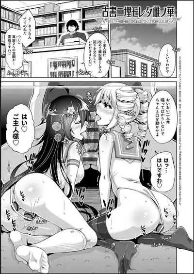 Kosho ni Umoreta Mesu no Hana