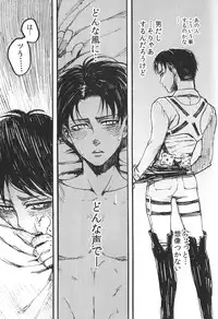 (FALL OF WALL2) [Ongire (Tamy)] Ficus 1 (Shingeki no Kyojin)