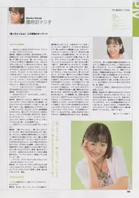 Super Real Mahjong Visual Fan Book Perfect Collection