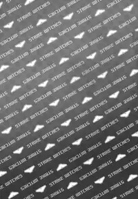 (Puniket 22) [Hitomaron (Setouchi Sumako)] Pantsu to Zubon no Kyoukaisen 2 | The Boundary Line Between Panties and Pants 2 (Strike Witches) [English] [Yuri-ism]