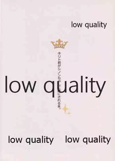 キリト君がシノンちゃんに雌にされる本。