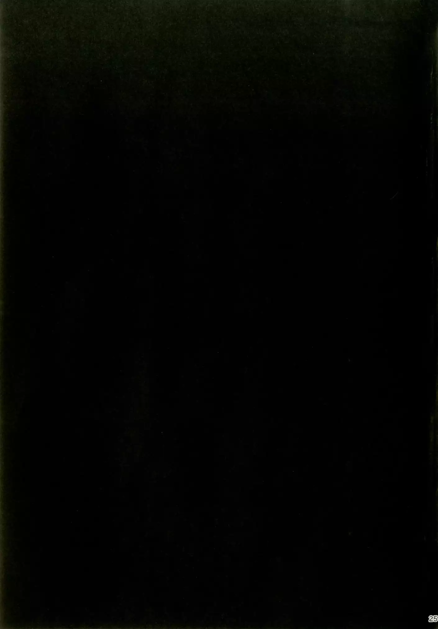 Tai Ona Hougu | 대자위보구