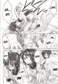 (C63) [Toko-ya (Kitoen)] Side:RYU - Ryuu no Me no Fuukei ~ third (Breath Of Fire) [English] [SaHa]