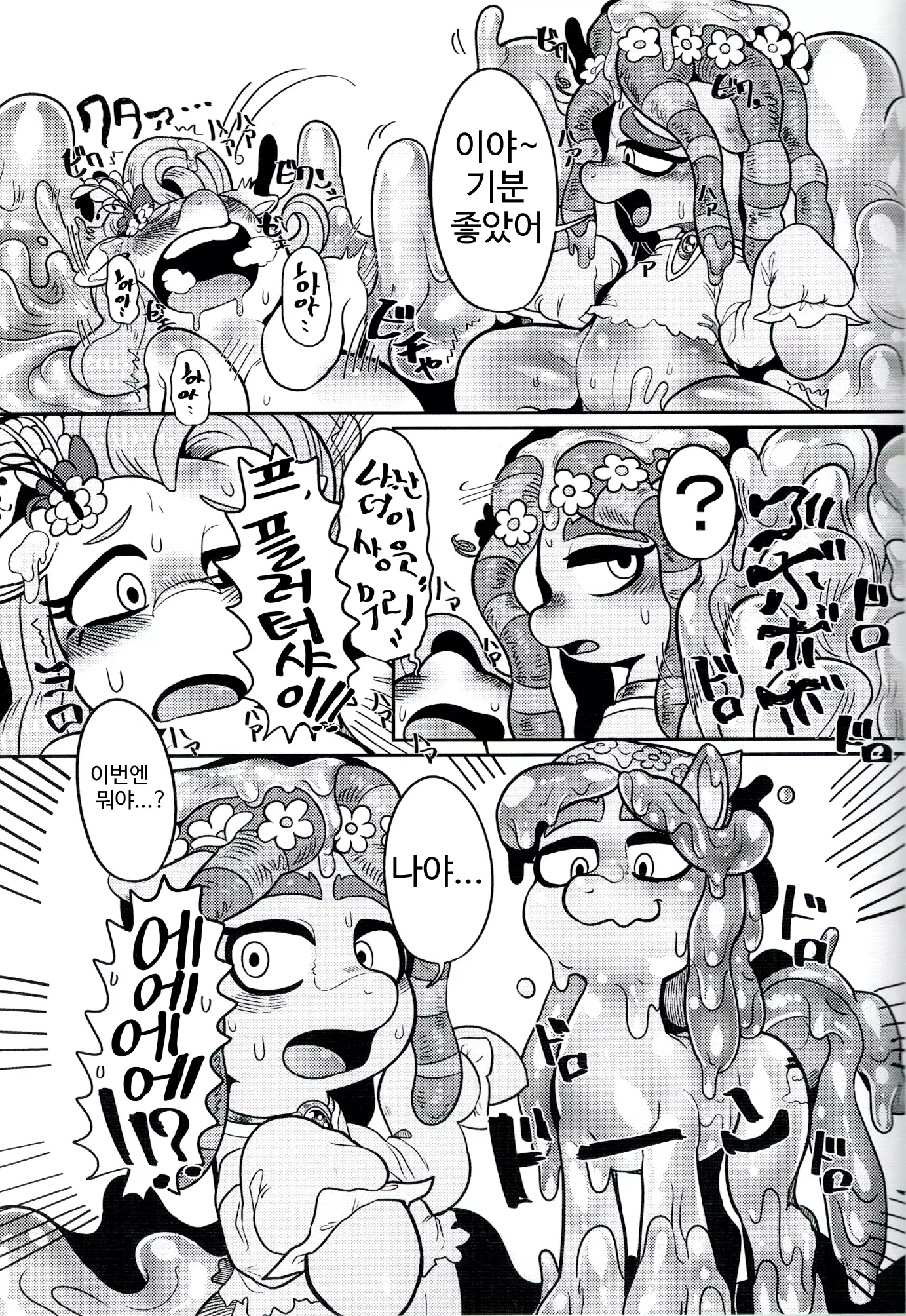 Shinsetsu no hacho