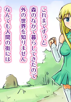 その1、命乞いエルフ