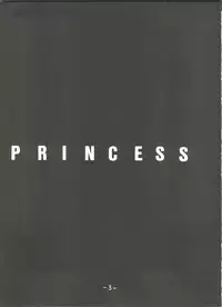 (C48) [Chanbara! (Kimuraya Izumi)] Princess (Various)