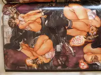 masamune shirow w tails cat 1