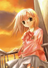 Canvas Visual Fan Book