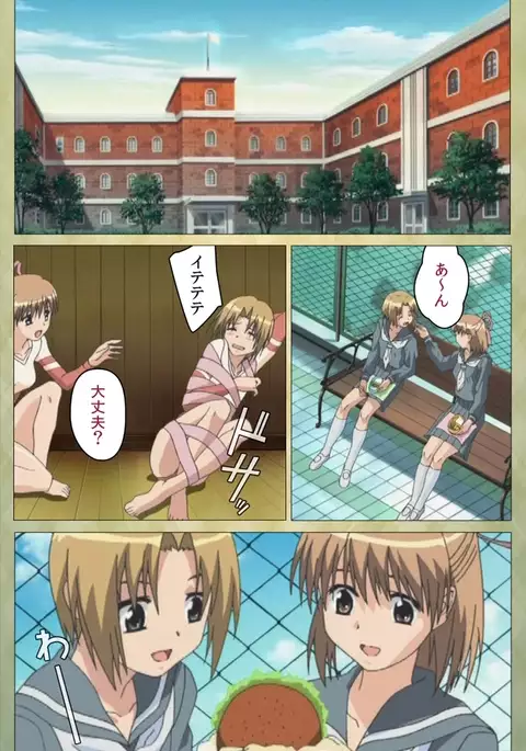 Shintaisou Complete Ban