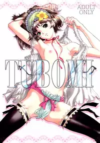 (C62) [STUDIO PAL (Hazuki Kaoru)] TUBOMI [Incomplete]