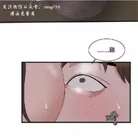 私生,爱到疯狂 完结