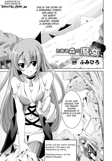 The Witch in a Forest