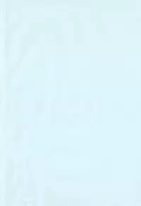 [SOFTCHARM] WONDER SQUARE