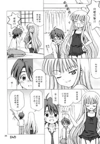 (C68) [Nikopondo (Aoyama Reo)] Lic Lac (Mahou Sensei Negima!) [Chinese] [好野尻漢化]