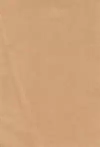 (Meikasai 13) [Mofu Shippo Lab (Nakamura Subaru)] JS Chen (Touhou Project)