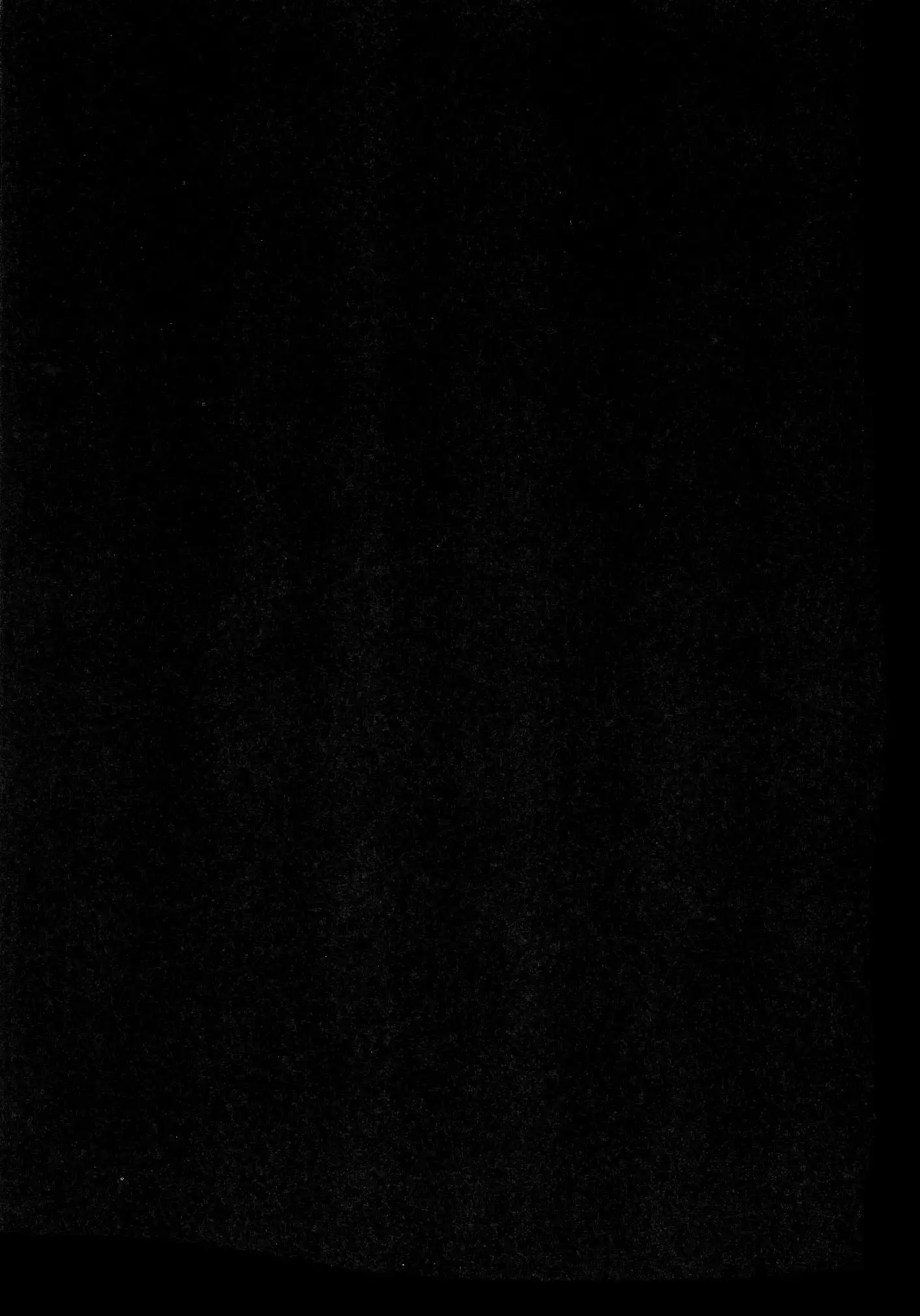 Haten Mesu Kouryuuhi - Ni