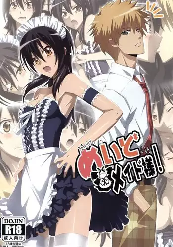 Meid in Maid-sama!