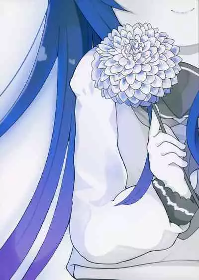 Dahlia no Hanakotoba - Flower language of the DAHLIA | 大丽花的花语