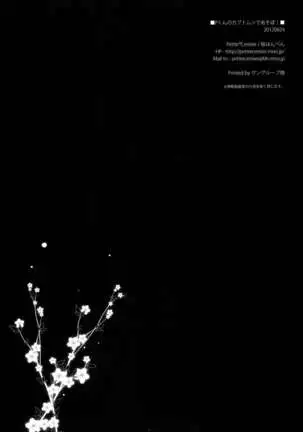 P-kun no Kabutomushi de Asobo!