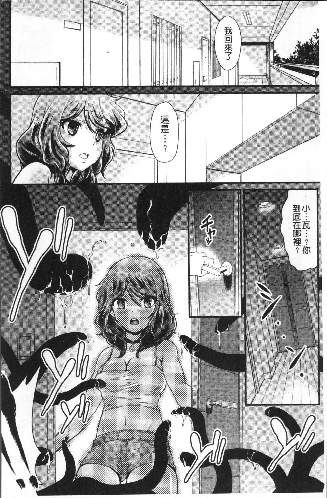 Mesu ga Mezameru Toki