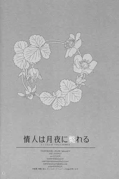 (Hyattou Ryouran ~Kimi no Heart o Shirahadori~Ni) [END (END)] Jounin wa Tsukiyo ni Taoreru (Touken Ranbu)