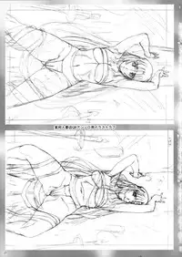 (C75) [AKKAN-Bi PROJECT (Yanagi Hirohiko)] Queen's Blast (Queen's Blade) [Chinese] [黑条汉化]