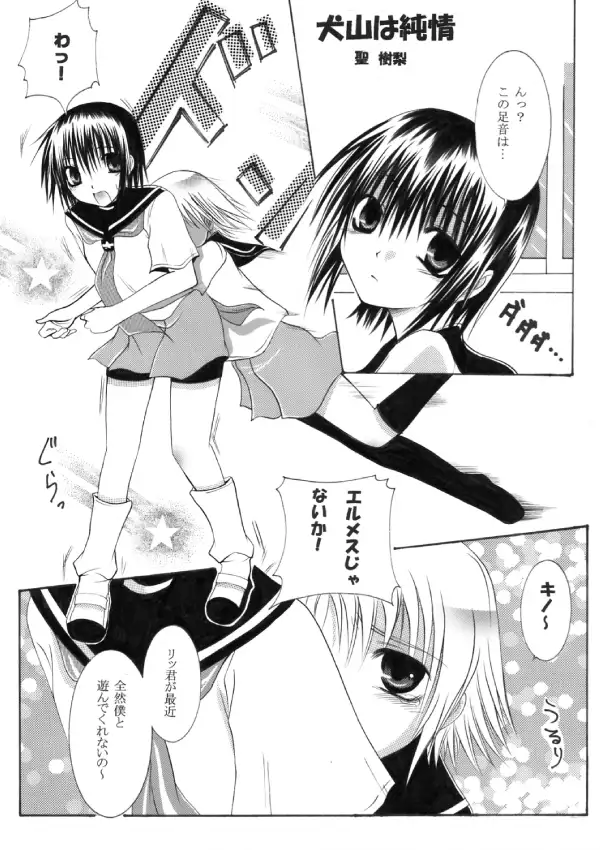 ~SAIFA~ Sairokubon