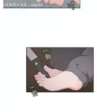 私生,爱到疯狂 完结