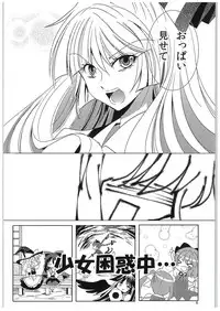 (C89) [DOLCE LATTE (Rindou Matsuri)] For M (Touhou Project)