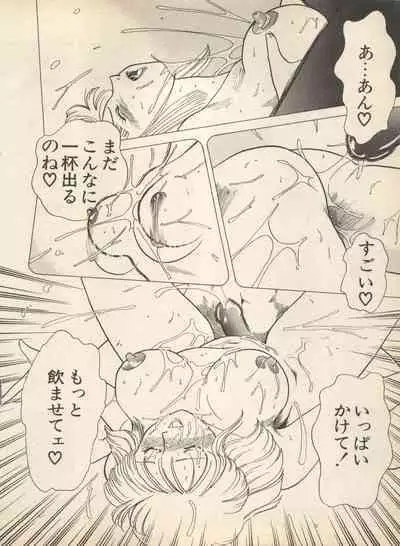 Shin Bishoujo Shoukougun 2 Mirai Hen