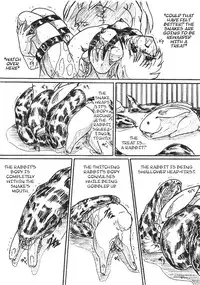 (C69) [Sumomo Dou (Sumomo EX)] Vivian Bessatsu. 33 Ugomeku Ibukuro Futanari Version | Vivian Separate #33 Wriggling Stomach Futanari Version [English] [Anonymous]