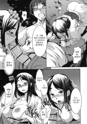 Ojousama wa H ga Osuki