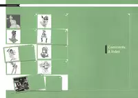 [Nishieda] Dendrobium