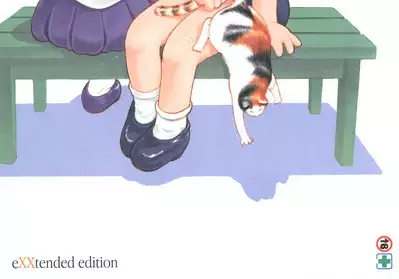 MP XX eXXtended Edition Machine Translation