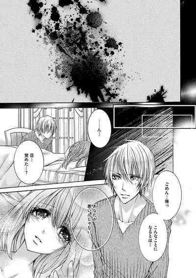 鬼畜兄弟の悶絶調教～私はいいなり奴隷～