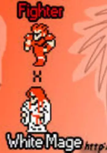 Fighter x White Mage