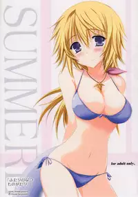 (C82) [SONIC WINTER (Tsukishima Kai)] Futari no Natsu Monogatari. Our Summer Memory (Infinite Stratos)