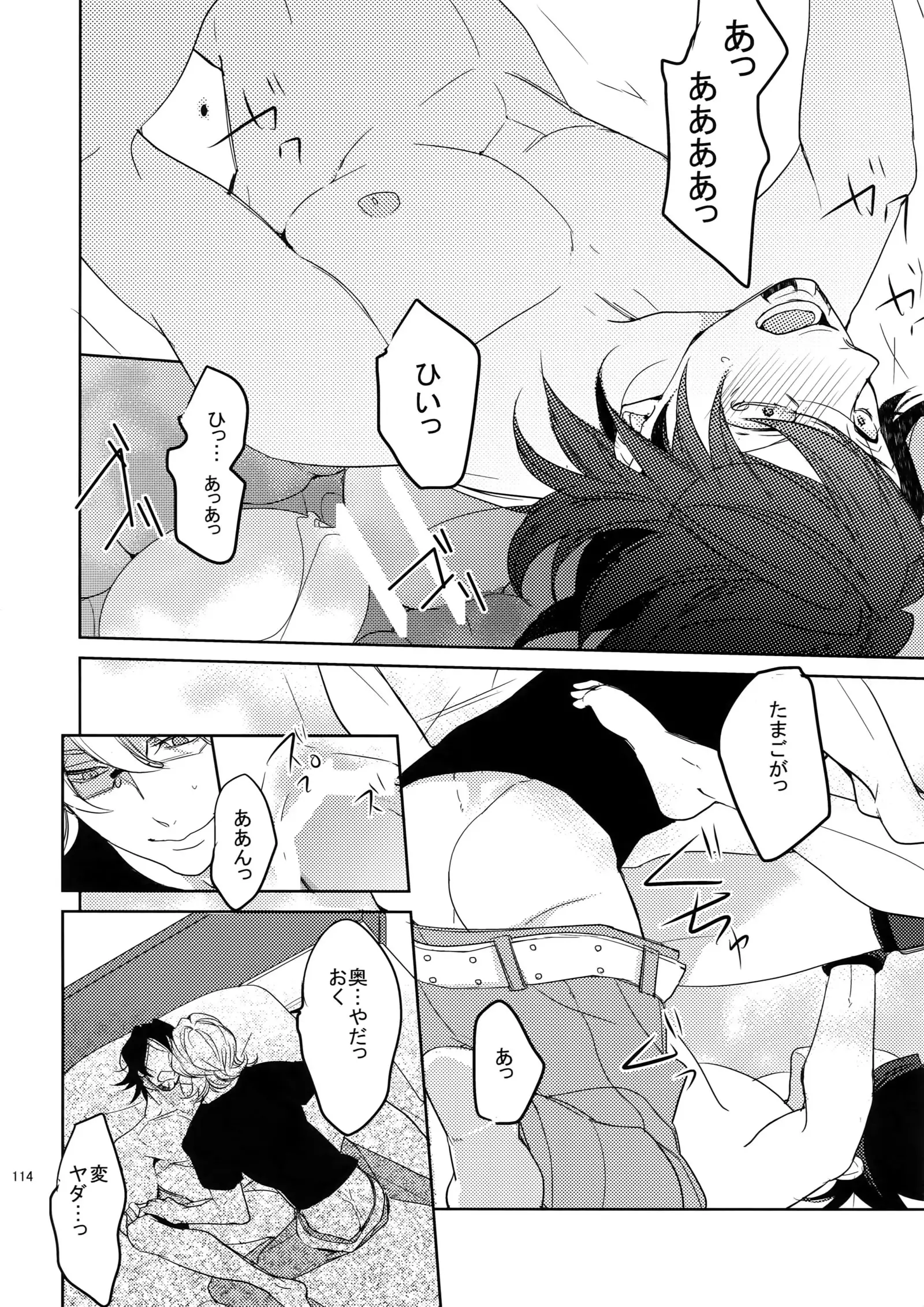 BOROZS Usagi Tora Sairoku