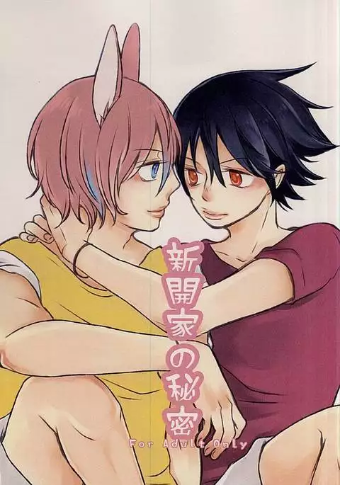 新開家の秘密