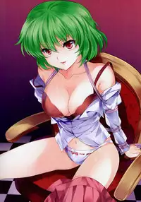 (C81) [Kyounetsuzanbun (PICO, Paintmusume)] Touhou Kinbaku Roku (Touhou Project)