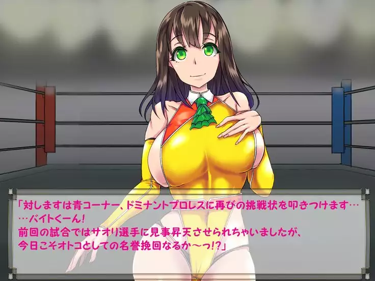 ドMプロレス2 画像集