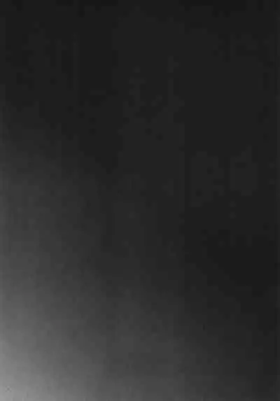 Slave Builder Try + Copy-bon